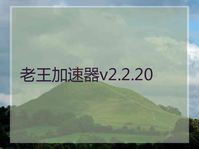 老王加速器v2.2.20